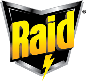Raid