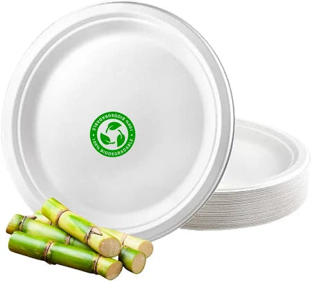 Plato Blanco Biodegradable Desechable 15cm Vanni