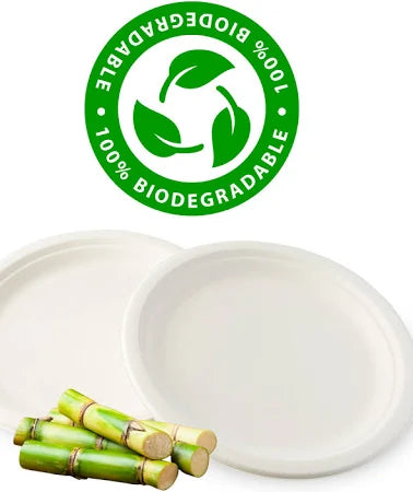 Plato Blanco Biodegradable Desechable 15cm Vanni