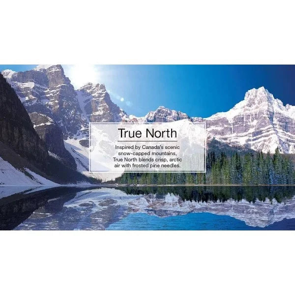 Aromatizante Para Autos Pino True North 1un Little trees