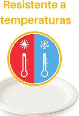 Plato Blanco Biodegradable Desechable 15cm Vanni