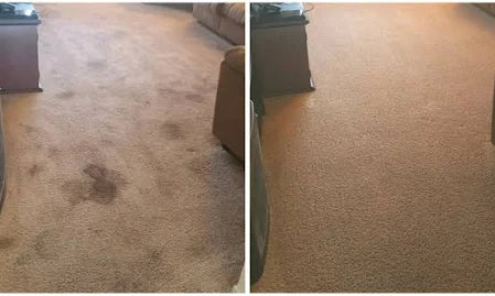 Limpiador Para Manchas De Mascotas 650ml Dr.Beckmann